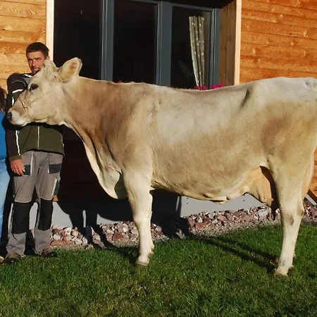 Lägenhet Schmiedlarhof Au (Bregenz)